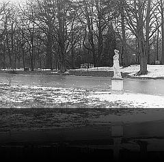 Zoerselhof parkvijver met beld